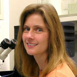 Jennifer Schmidt, Director of Genetic Studies, Shark Research Institute